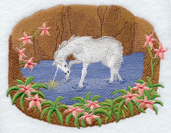 Unicorn Reflection Scene