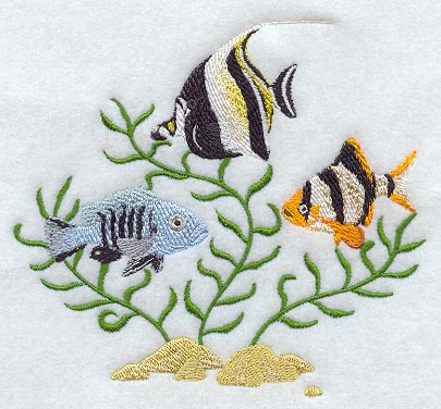 Tropical Fish Trio