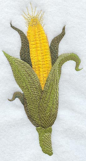 Cob of Corn