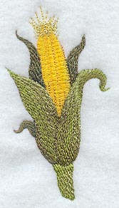 Cob of Corn
