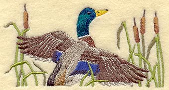 Mallard Pocket Topper