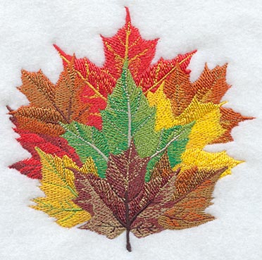 Maple Leaves
