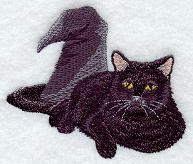 Cat with Witch Hat.