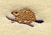 Beaver (Miniature)