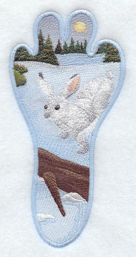 Rabbit Track Scene - Winter