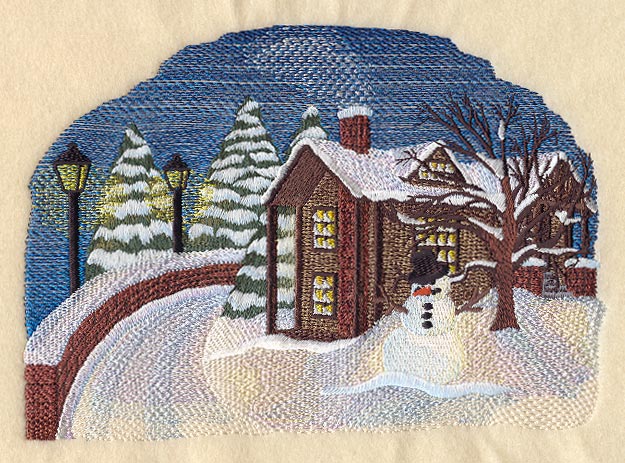 Winter Home Scene