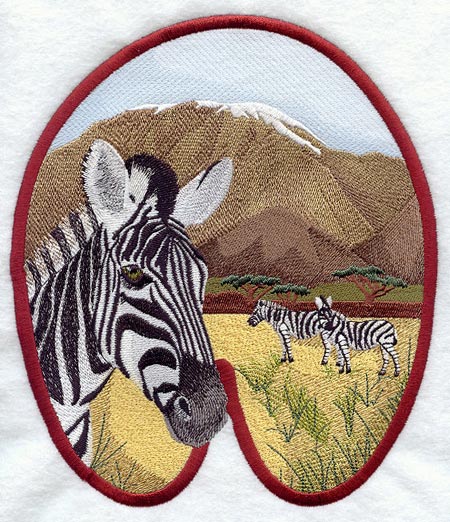 Zebra Track Scene