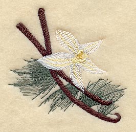 January - Vanilla Bean Accent