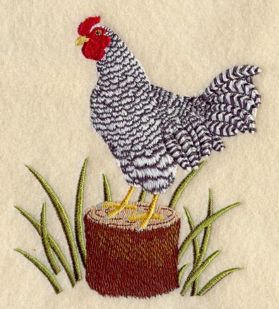 Dominique Rooster