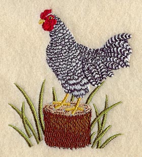 Dominique Rooster