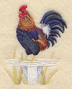 Jungle Fowl Rooster