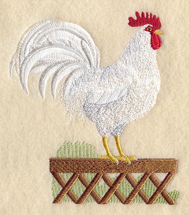 Leghorn Rooster