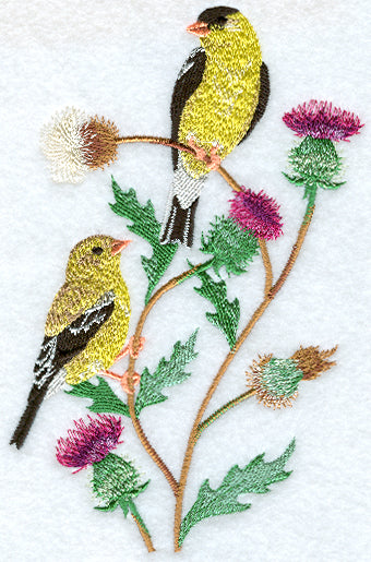 Seasonal Birds - Spring Goldfinches