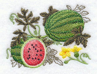 Watermelon Botanical