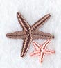 Starfish (Miniature)