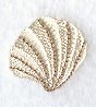 Seashell (Miniature)