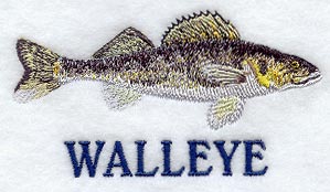 Walleye