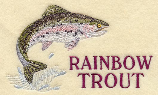 Rainbow Trout