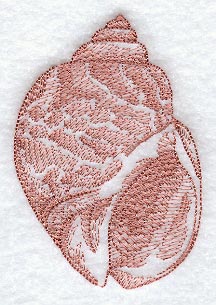 Walkway Babylon Seashell (Toile)