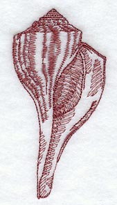 Channeled Whelk Seashell (Toile)