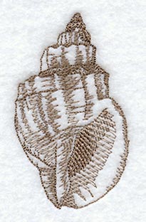 Spengler's Nutmeg Seashell (Toile)