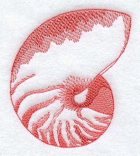 Common Chambered Nautilus Seashell (Toile)