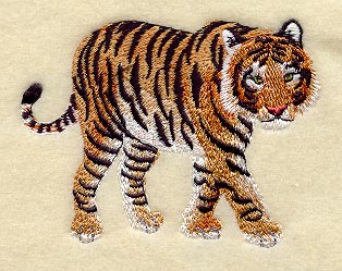 Bengal Tiger II