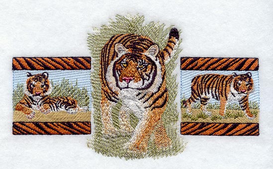 Bengal Tiger Trio