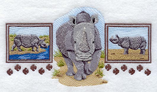 Asian Rhino Trio