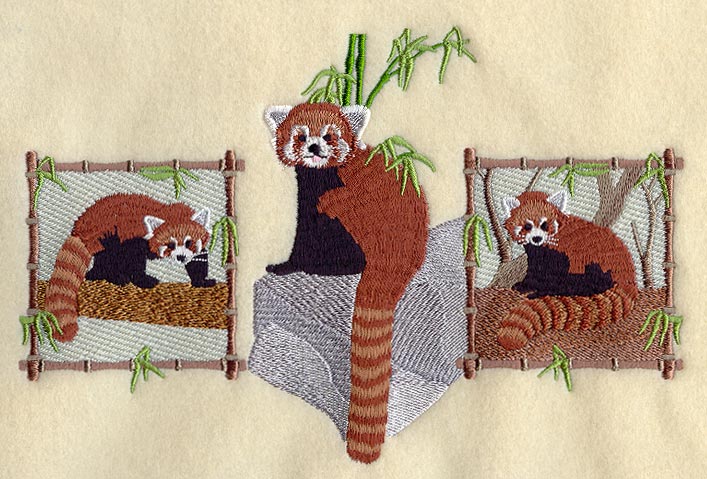 Red Panda Trio