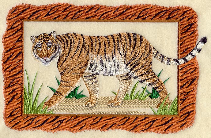 Bengal Tiger and Frame