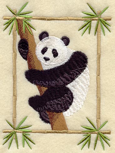 Panda and Frame