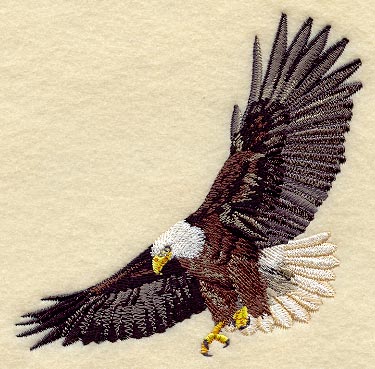 Flying Eagle II