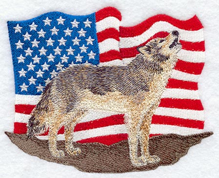 Wolf and U.S. Flag