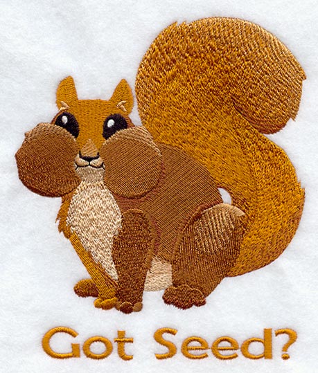 Got Seed? Squirrel