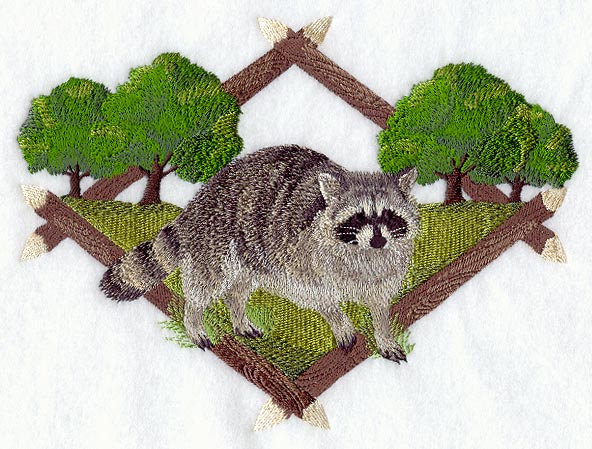 Raccoon Diamond