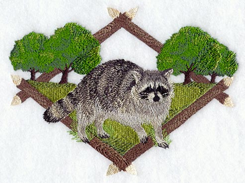 Raccoon Diamond