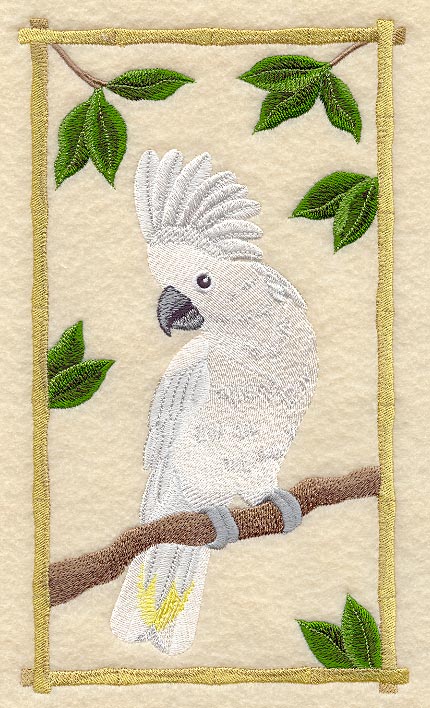 Umbrella Cockatoo Panel