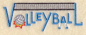 Volleyball