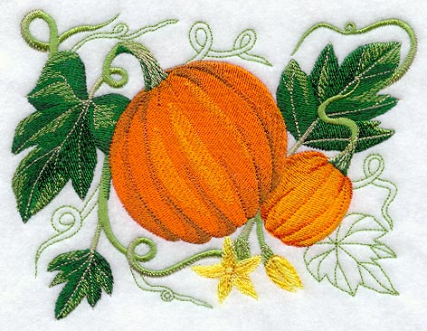 Pumpkin Botanical