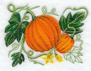 Pumpkin Botanical