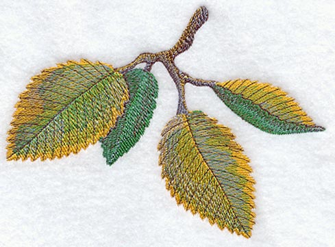 Elm Leaves in Watercolor
