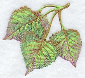 Cottonwood Leaves in Watercolor