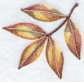 Ash Leaves in Watercolor