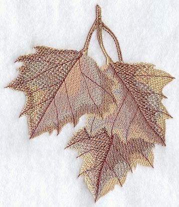 Sycamore Leaves in Watercolor