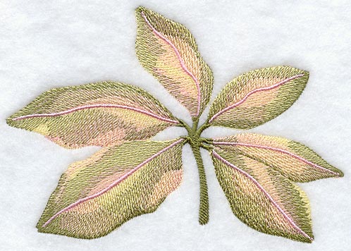 Magnolia Leaves in Watercolor