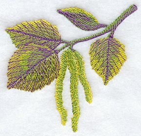 Birch Leaves in Watercolor