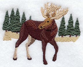 Woodland Moose