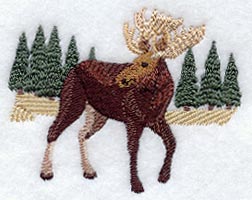 Woodland Moose