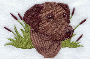 Labrador Retriever Head